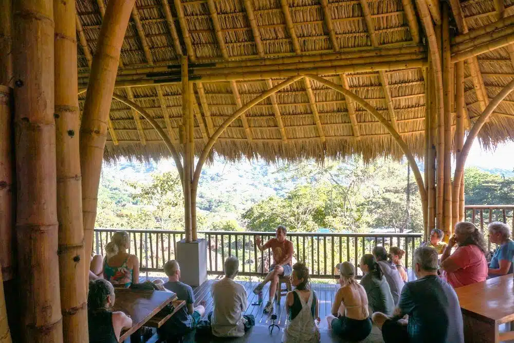 Comunidades regenerativas contemporâneas